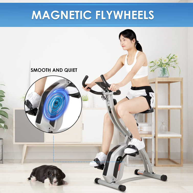 Wayfair stationary sale bike